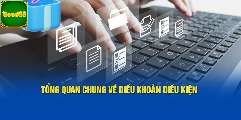 Các pháp lý quan trọng của điều khoản điều kiện
