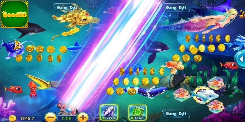 Cách sử dụng súng lưới Poseidon săn cá