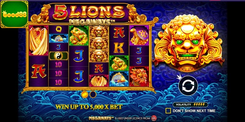 Khám phá đôi nét về 5 chú sư tử Megaways 