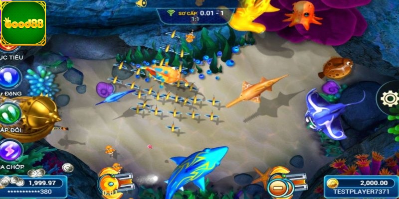 Luyện tập thao tác với các loại súng bắn cá