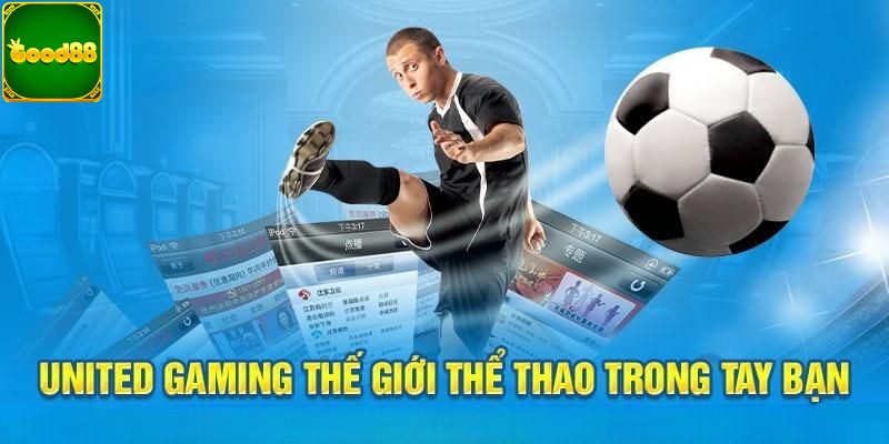 Tuân thủ nghiêm túc các quy định của nhà cái